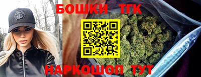СК Шебекино