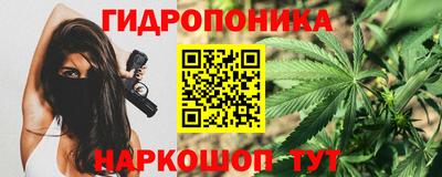 ешки Шелехов