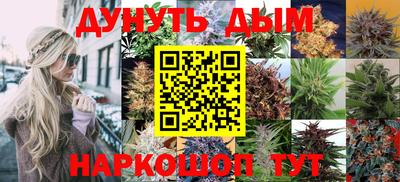 СК Шебекино