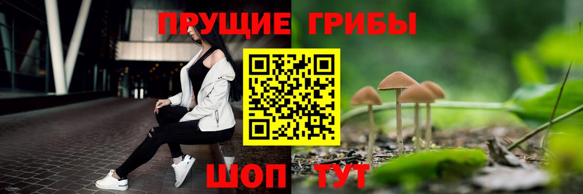 Псилоцибиновые грибы Psilocybe  Псилоцибиновые грибы GOLDEN TEACHER  Ачхой-Мартан  Вход с VPN 